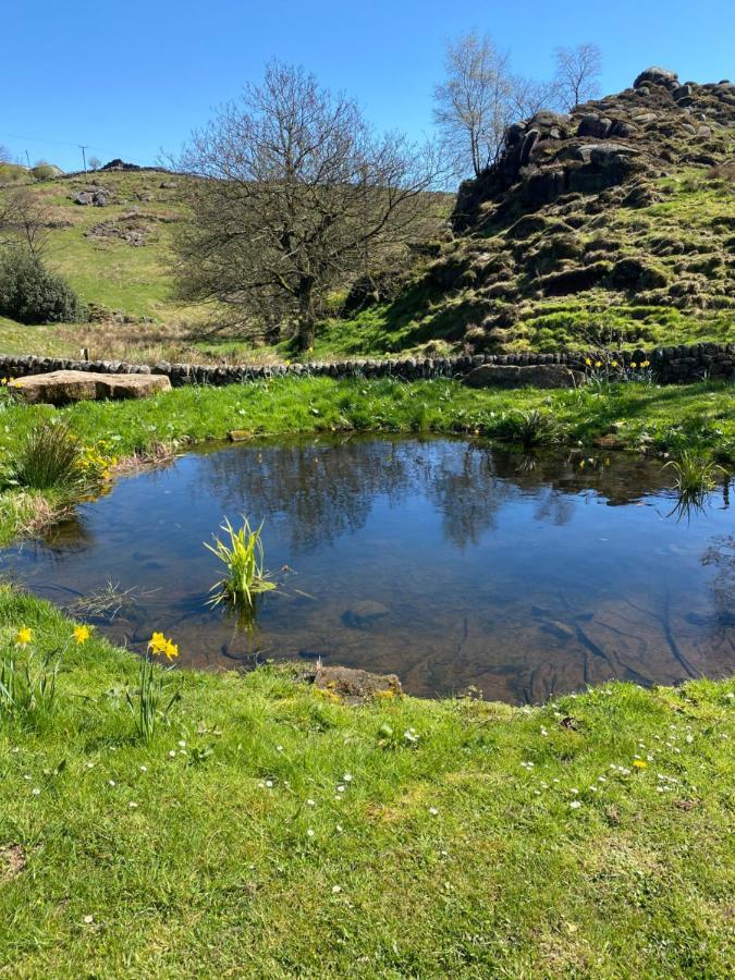Bluebell Bell Tent The Roaches Upper Hulme Dış mekan fotoğraf